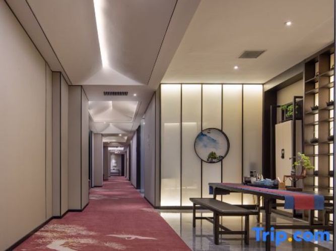 Hotel rooms