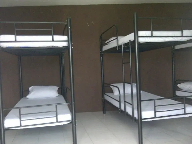 Bed in Dorm