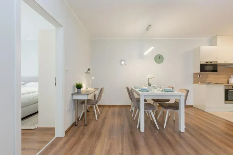BUDAPEST DOWNTOWN Residences - AC,ELEVATOR,TERRACE