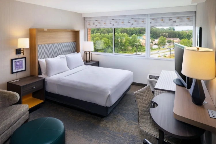 1 Bedroom Suite