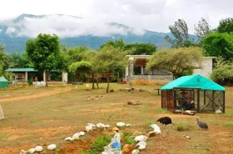 Kings Wild Retreat