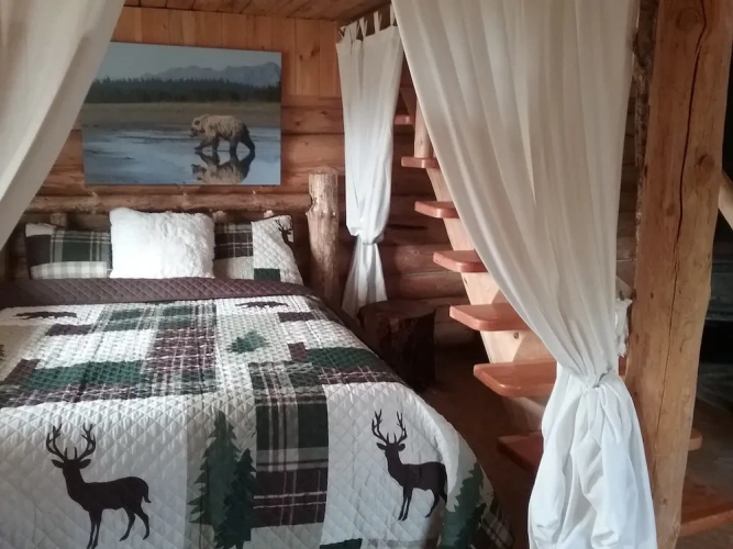 Standard Double room with lake view