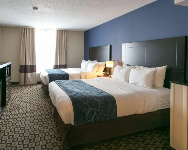 Quadruple Suite
