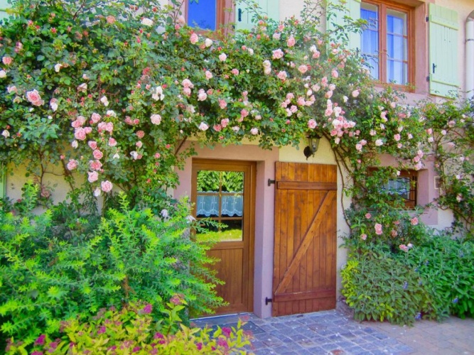 Cottage