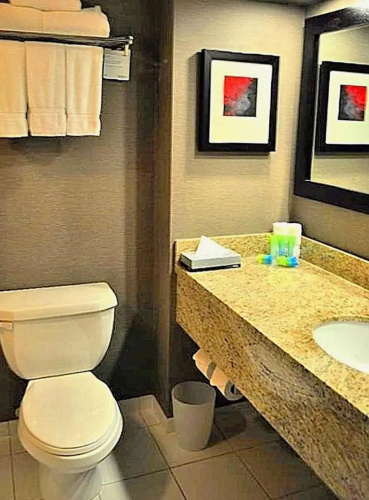 Radisson Hotel Vancouver Airport photo 11