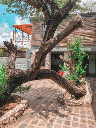 Nkisi Guesthouse