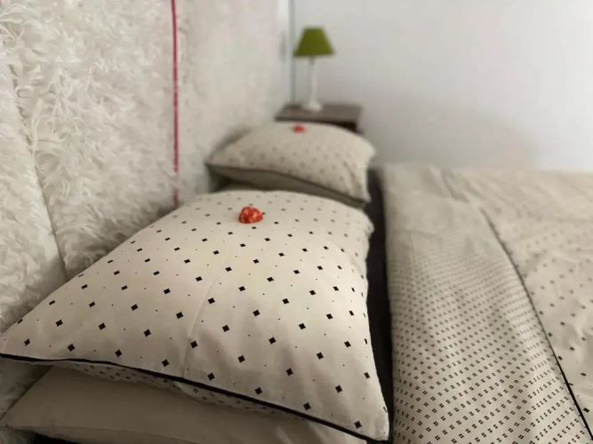 1 Bedroom Basement Apartment