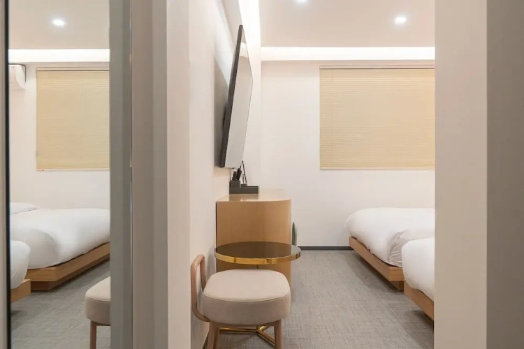 Deluxe Twin room