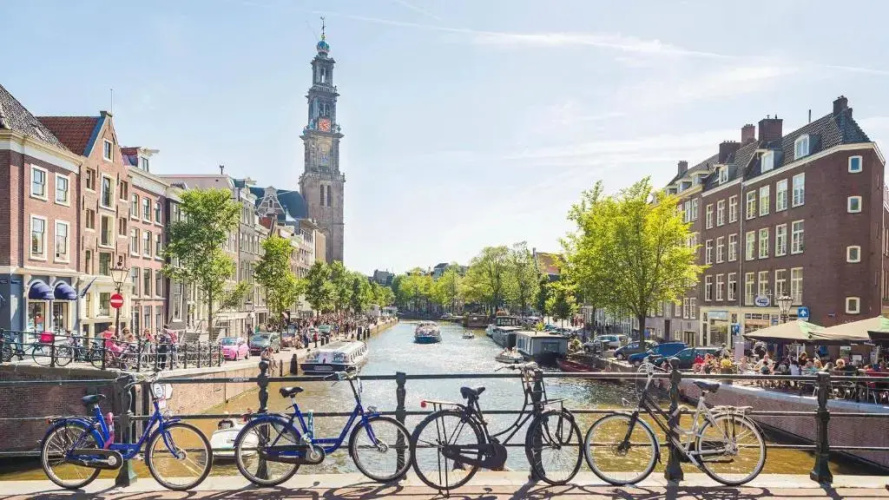 Het Zwanennest