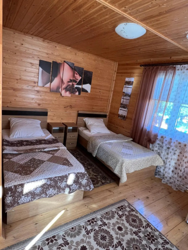 Фотография номера кемпинга Ковчег