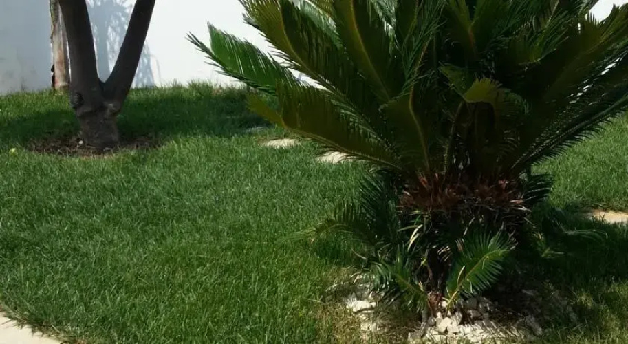 A&S Villa Al Mare