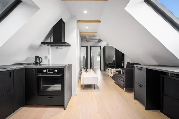 Penthouse Apartment