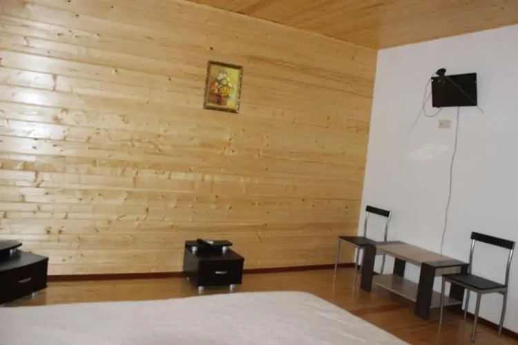 Guest house Irina