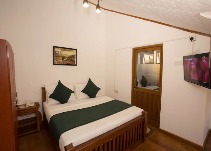 Standard Double room with lake view
