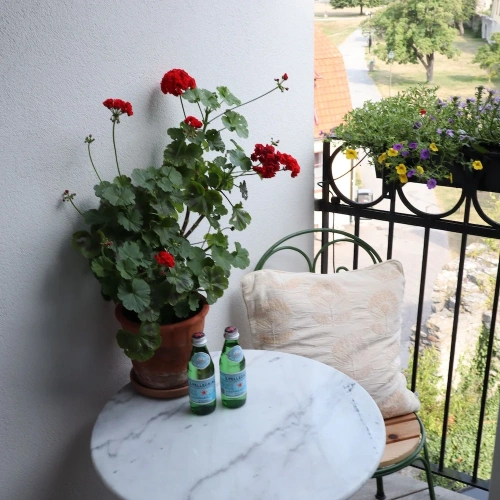 Deluxe Double room with balcony