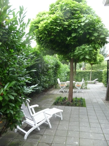 Cottage