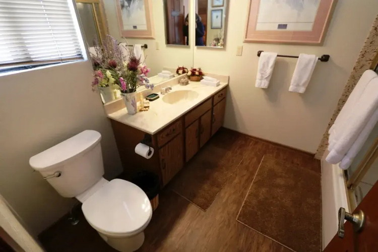 Mammoth Sierra Townhomes #21