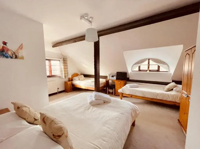 Standard Family room
