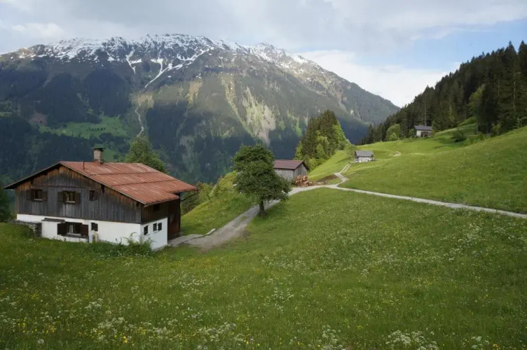 Maisäß Lifinarblick