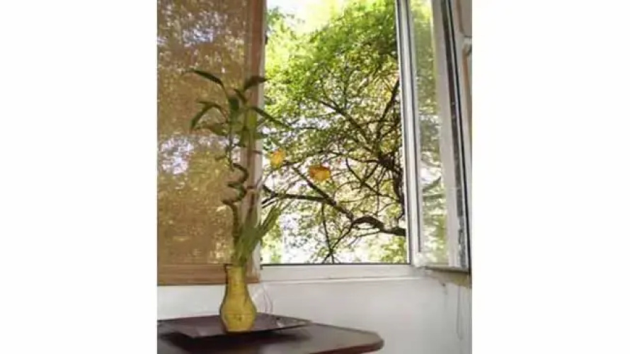 Floreasca Park Studio Apartment