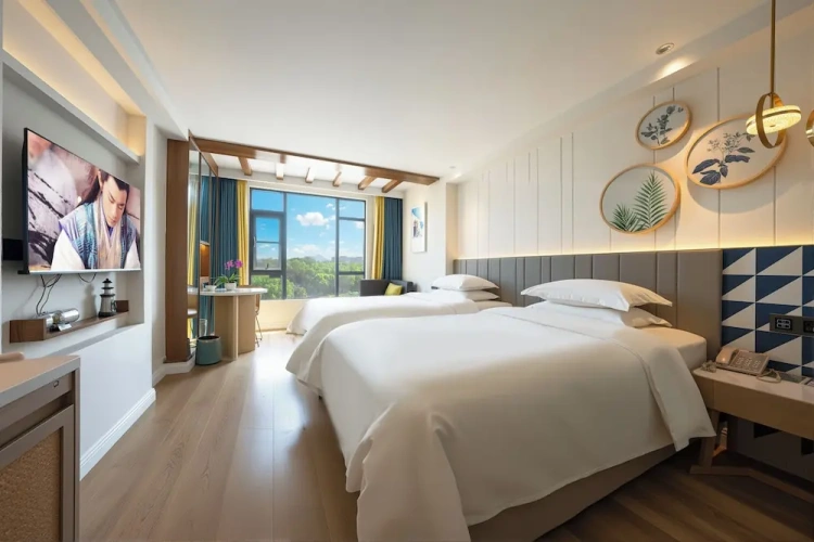 Deluxe Twin room with city view