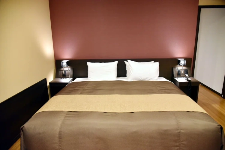 No. 311 Deluxe Double room