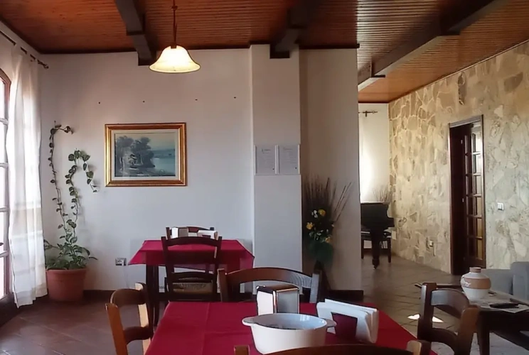 1 Bedroom Standard room with sea view