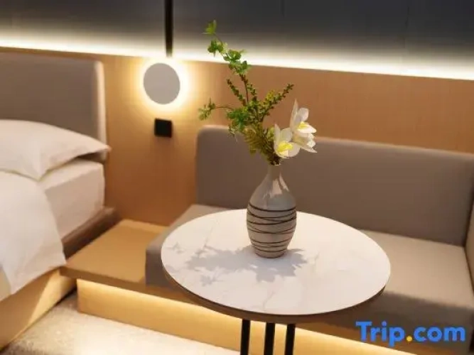 Luxury Double Apartment