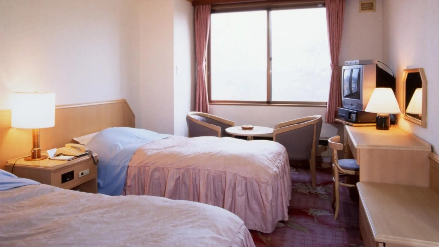 Standard Twin room with lake view