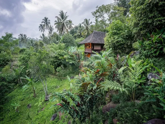 Deluxe Bungalow