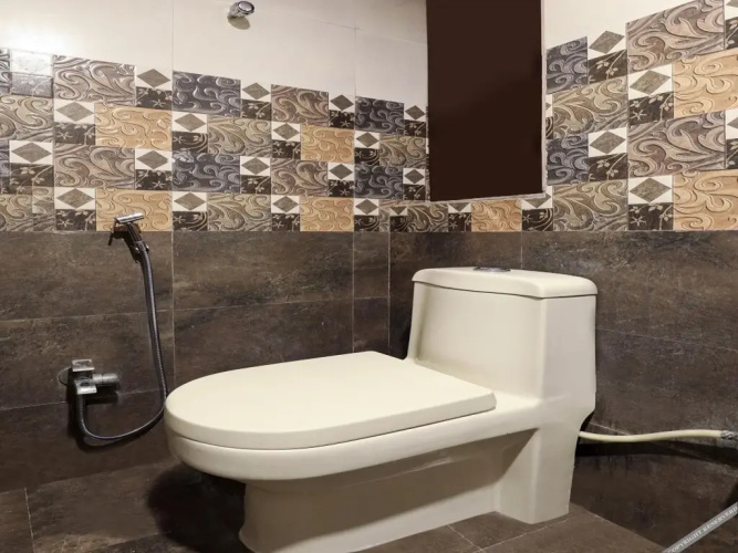 Hotel Shiva s Royal
