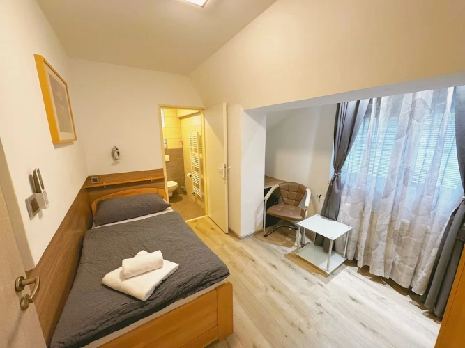 Standard Single room with garden view