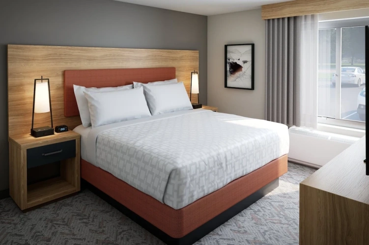 1 Bedroom Suite