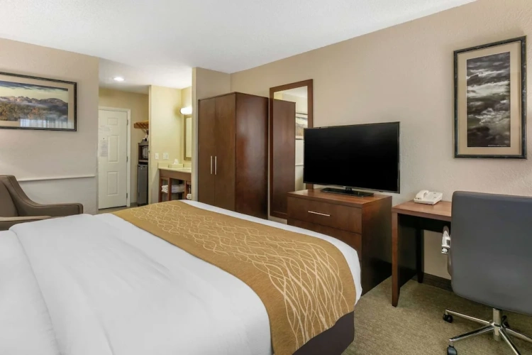Standard Double room