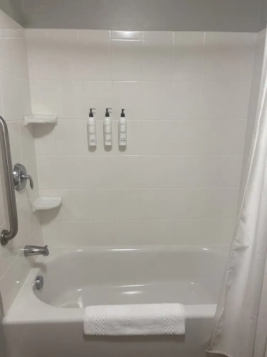 1 Bedroom Suite