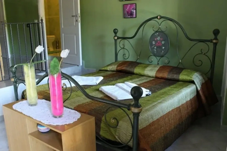 Standard Double room with land view