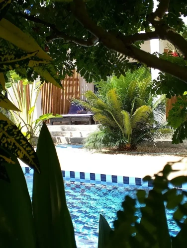 Deluxe Double room with pool view