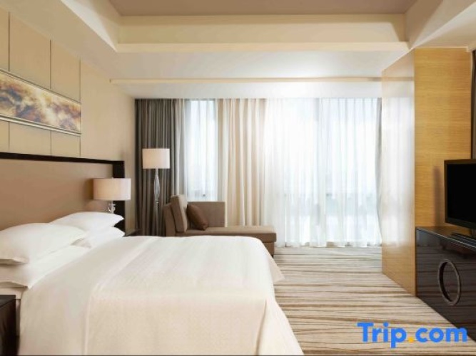 Executive Single Suite