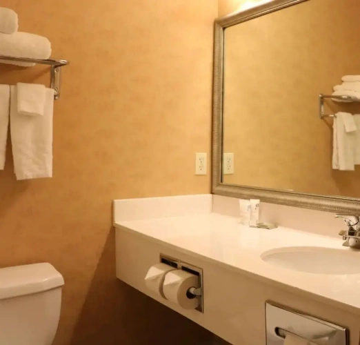 1 Bedroom Suite