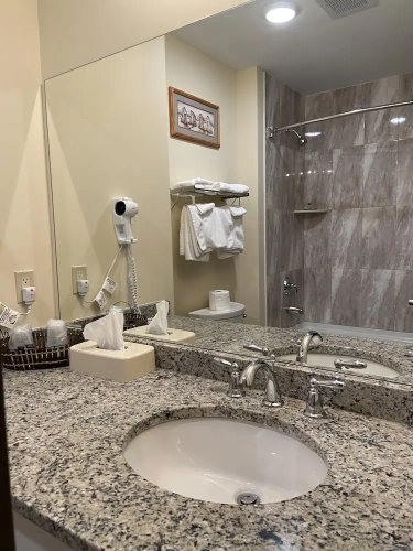 1 Bedroom Standard Double room
