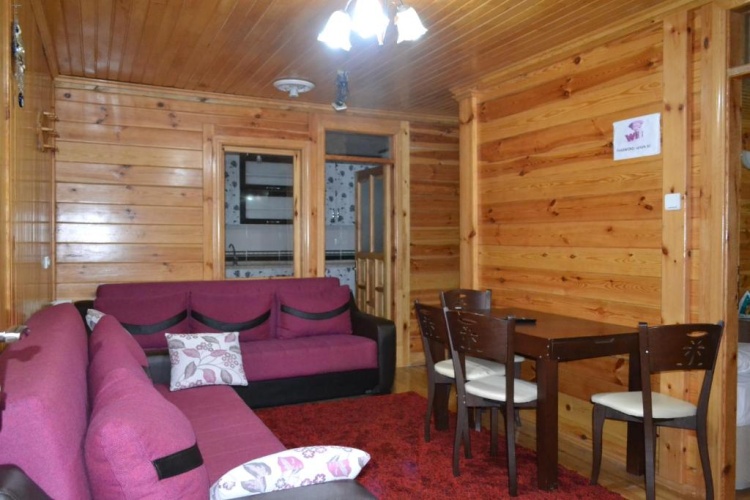 1 Bedroom Apartment with balcony and with view