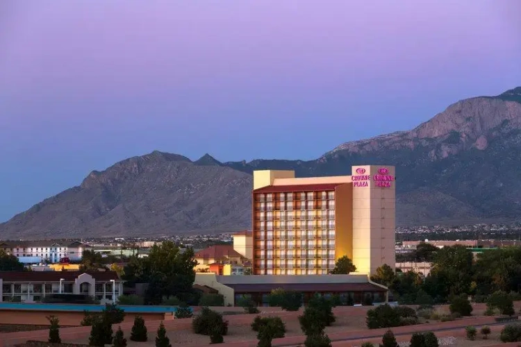 1 Bedroom Suite