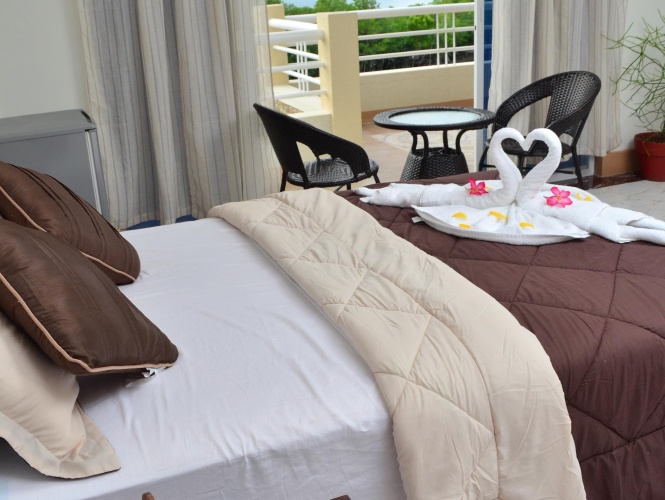 Superior Double room with view