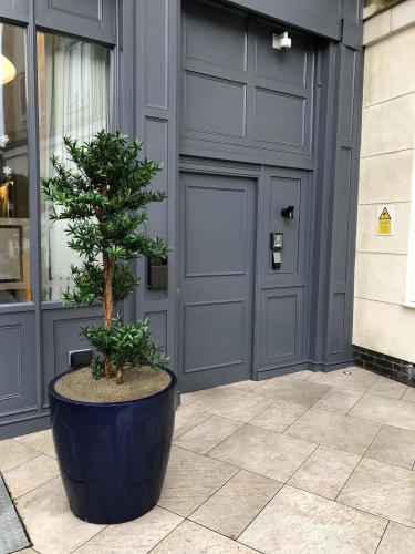 Best Western Plus Vauxhall Hotel photo 12