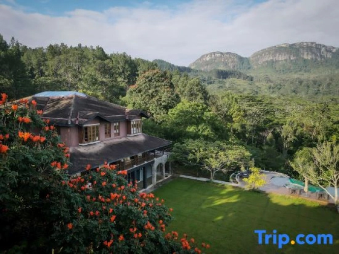 Kandy Dendrobium House
