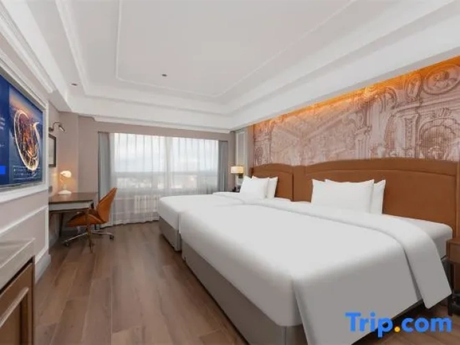 Standard Twin Family room