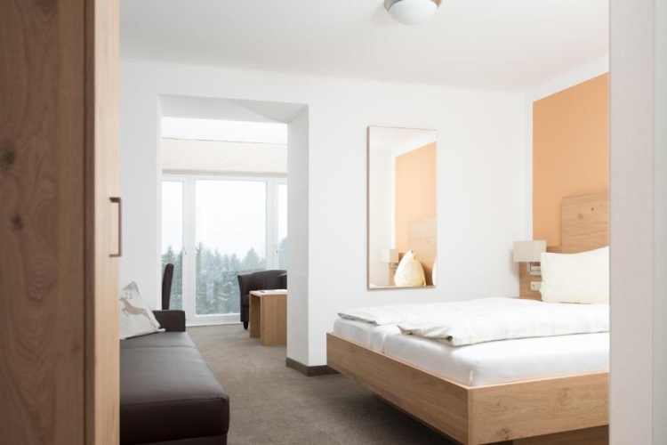 Superior Double room with mountain view