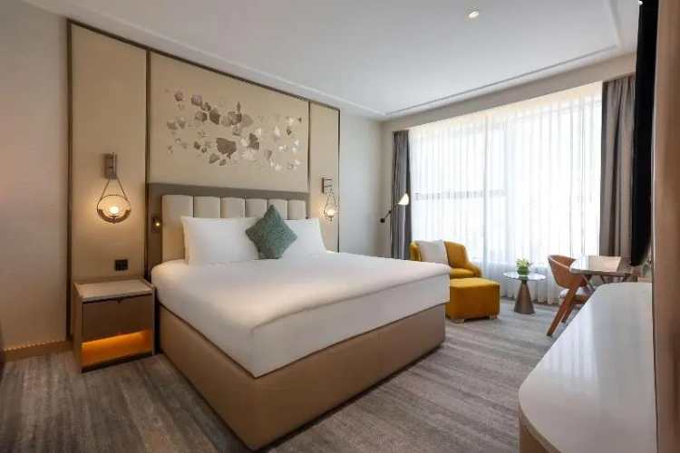 Double Club Suite