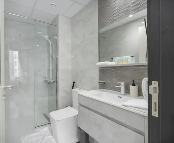 Luxury Apartment