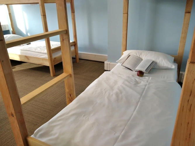 Bed in 12-Bed Dorm